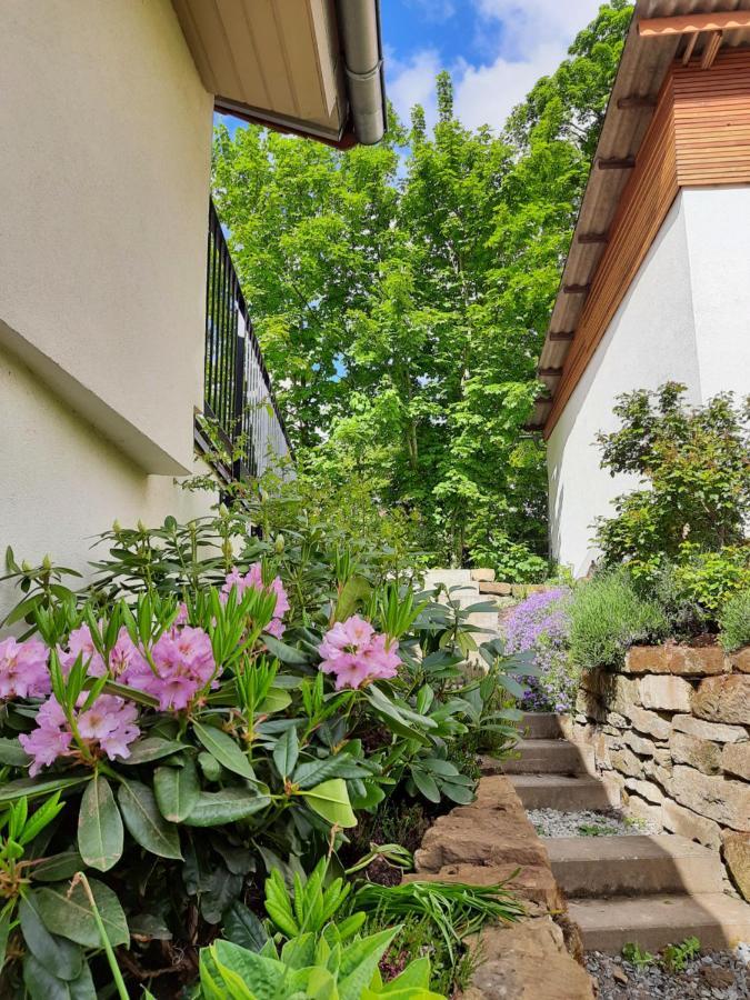 Beas Wohnen Apartment Sinsheim Exterior photo
